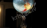 Globe