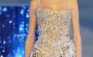 Cavalli